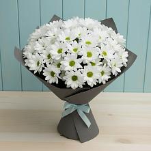 Букет цветов из:  Хризантемы #REPLACE_PRED# городе Учалы