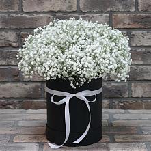 Цветочная композиция из Гипсофила в шляпной коробке #REPLACE_PRED# городе Учалы