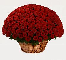 Премиум букет из: Розы в городе Учалы
